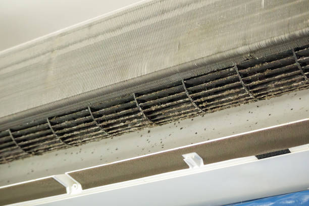 Professional Airduct Cleaning in SC